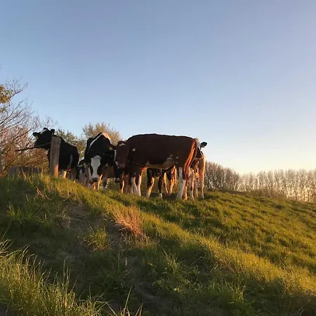 Bauernhof Gulfhof Friedrichsgroden *