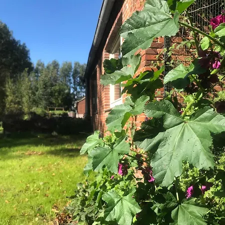 Bauernhof Gulfhof Friedrichsgroden Carolinensiel