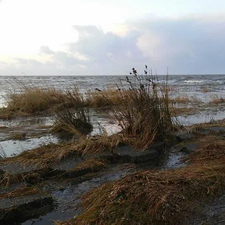 Bauernhof Gulfhof Friedrichsgroden *