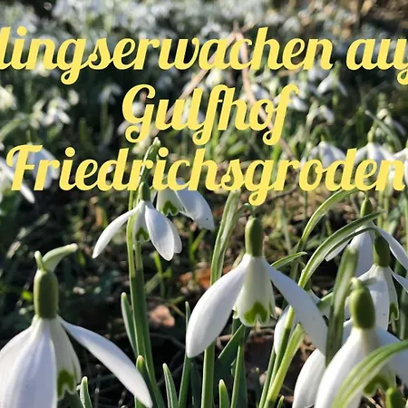 Κατάλυμα σε φάρμα Gulfhof Friedrichsgroden