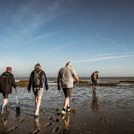 Gulfhof Friedrichsgroden Bauernhof