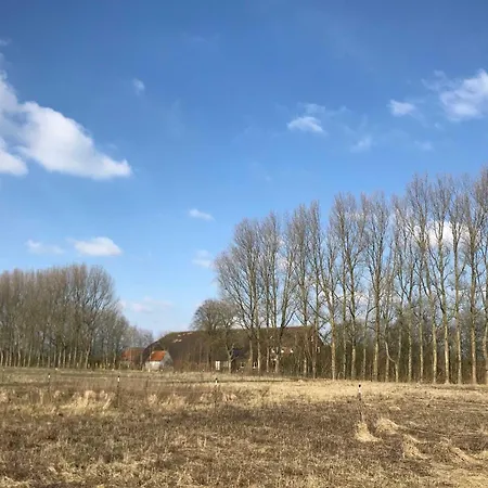 Bauernhof Gulfhof Friedrichsgroden Carolinensiel