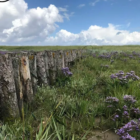 Κατάλυμα σε φάρμα Gulfhof Friedrichsgroden