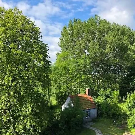 Gulfhof Friedrichsgroden Alloggio per agriturismo Carolinensiel