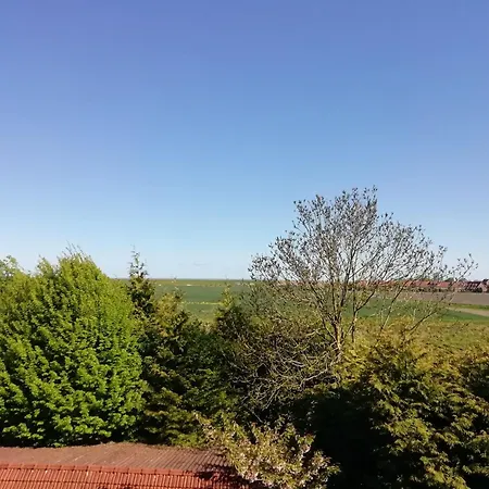 Bauernhof Gulfhof Friedrichsgroden *