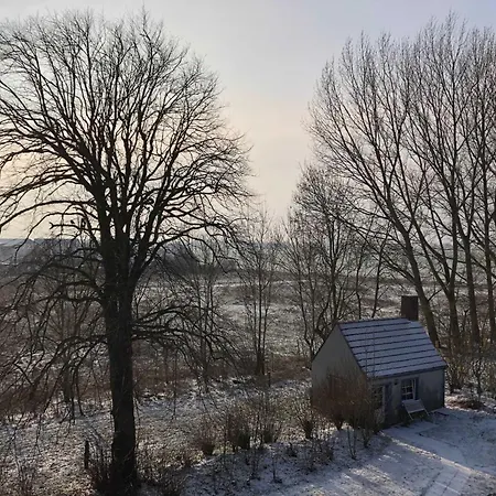 Gulfhof Friedrichsgroden Alloggio per agriturismo