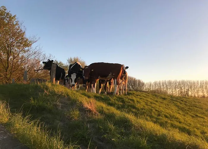 Фермерский дом Gulfhof Friedrichsgroden *