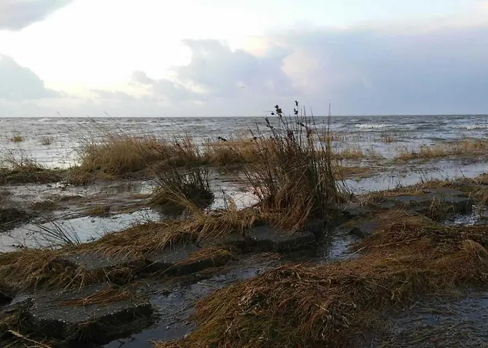 Фермерский дом Gulfhof Friedrichsgroden *