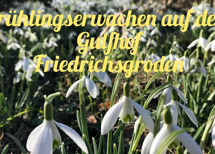 Фермерский дом Gulfhof Friedrichsgroden
